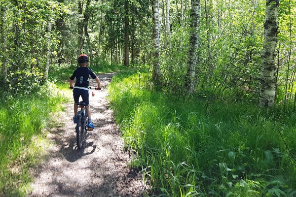 Zomer Flachau: fietsen en mountainbiken