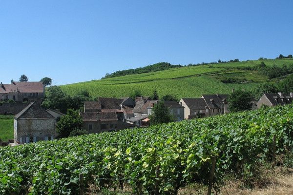 Wandelen Frankrijk Bourgogne