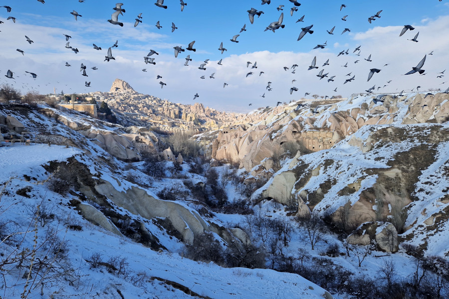 Winter in Cappadocie de duiven vallei