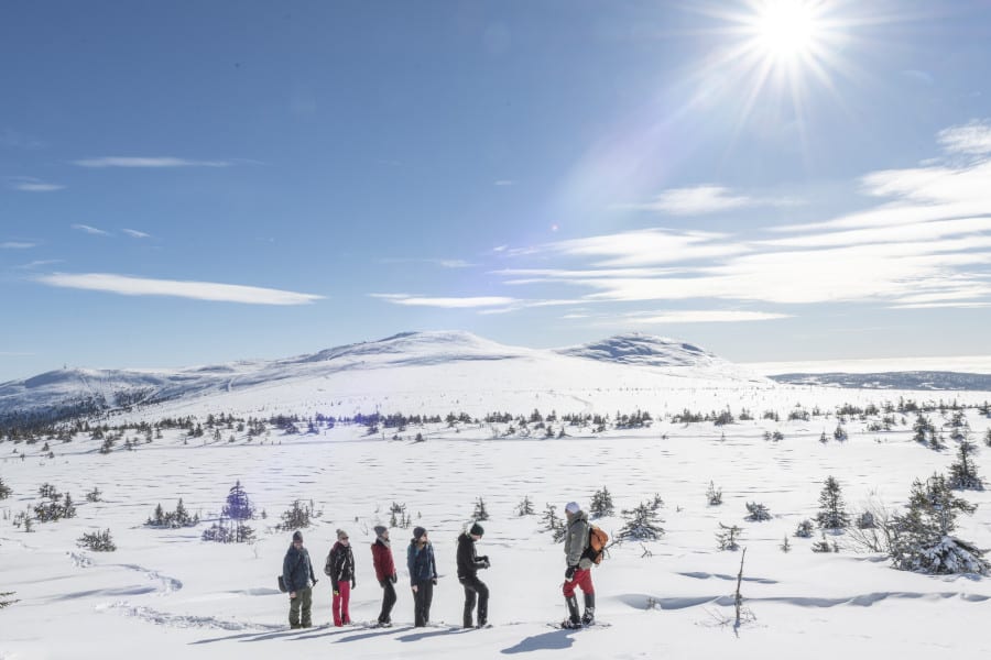 Sneeuwschoenwandelen in Zweden (Foto: BBI Travel)