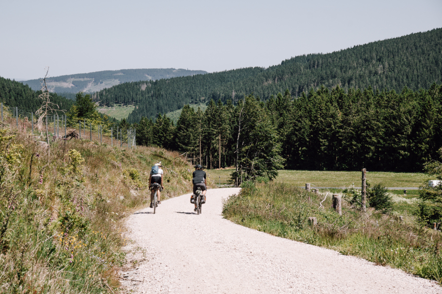Thüringer Wald zomer