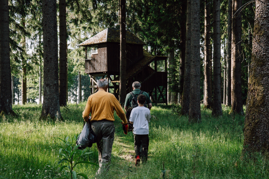 Wildexcursie in Thüringer Wald.
