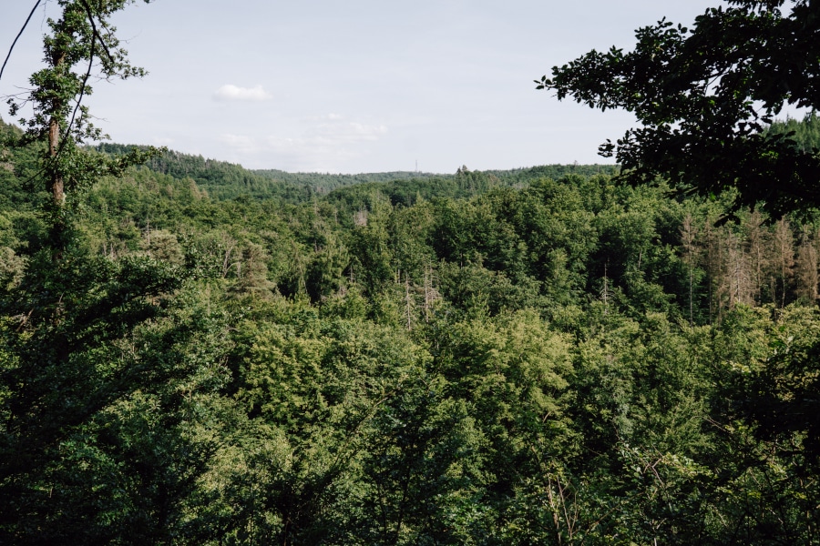 Drachenschlucht Thuringer Wald