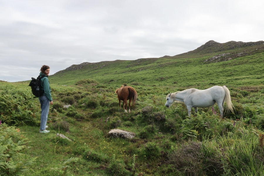 Wandelen in Wales