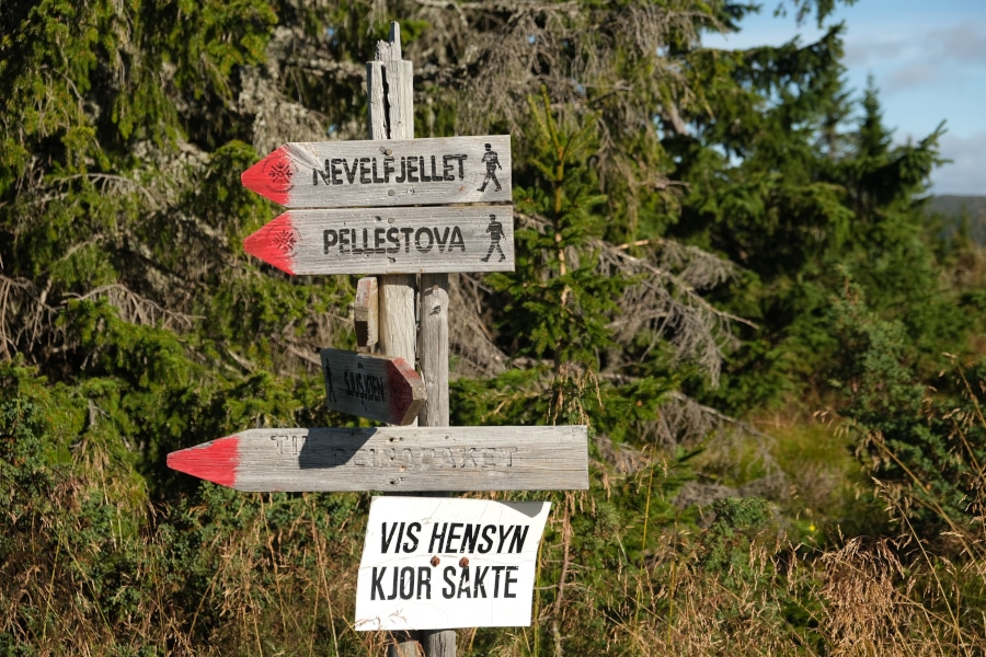 Nevelfjellet