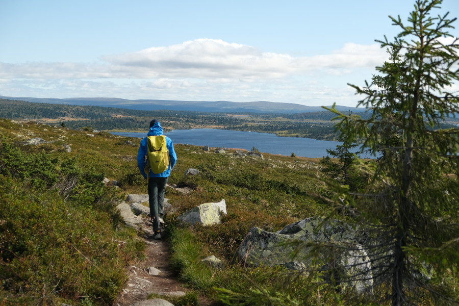 Wandelen rondom Nordseter: prachtig natuurgebied