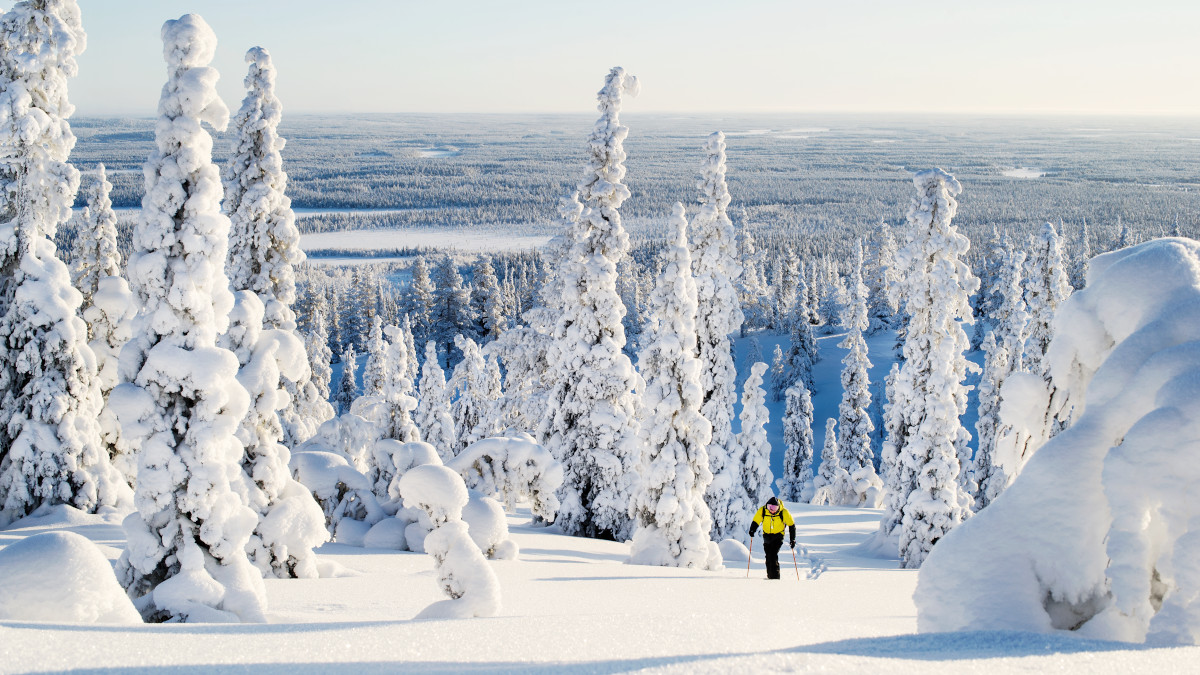 © BBI Travel