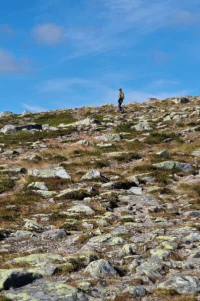 Steeds weer een ander landschap