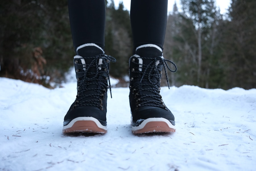 Specificaties van LOWA RENEGADE EVO ICE