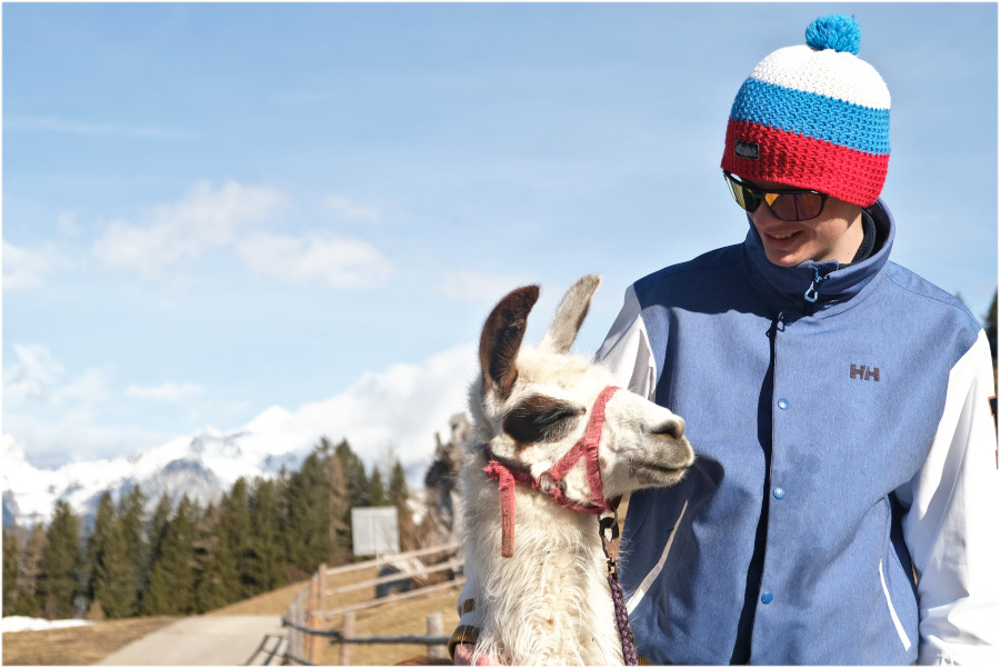 Lamawandeling tijdens vakantie in Hall Wattens