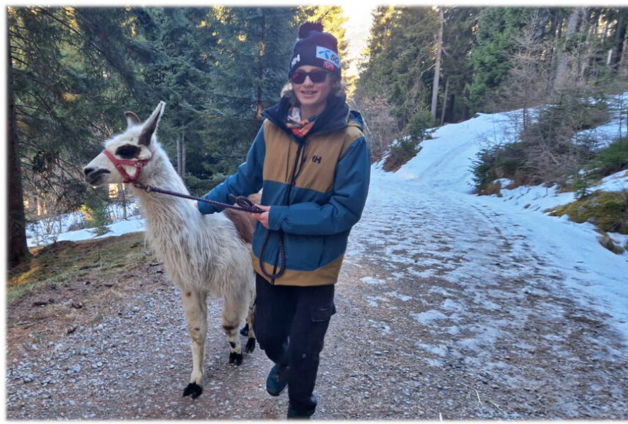 Lamawandeling in Wattens