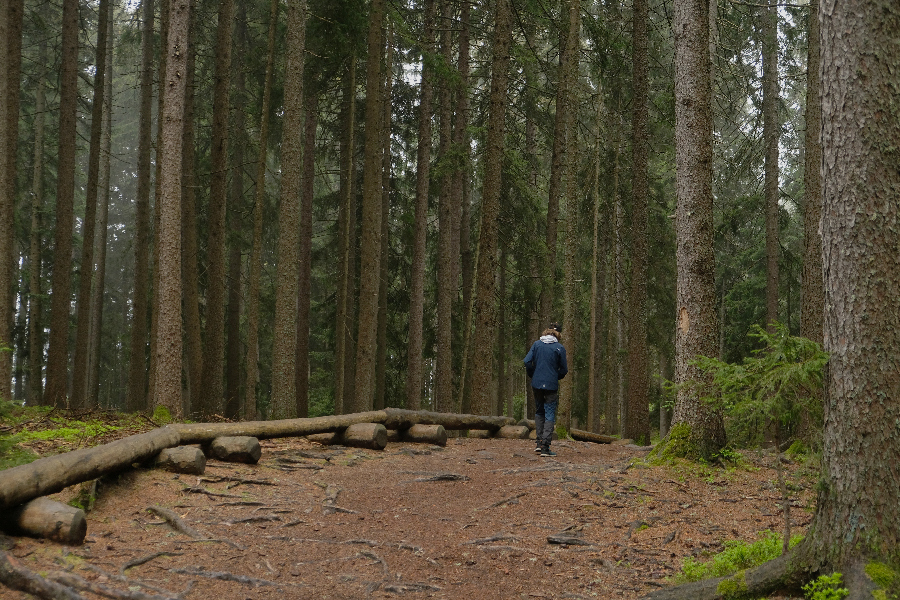 Knottnkino