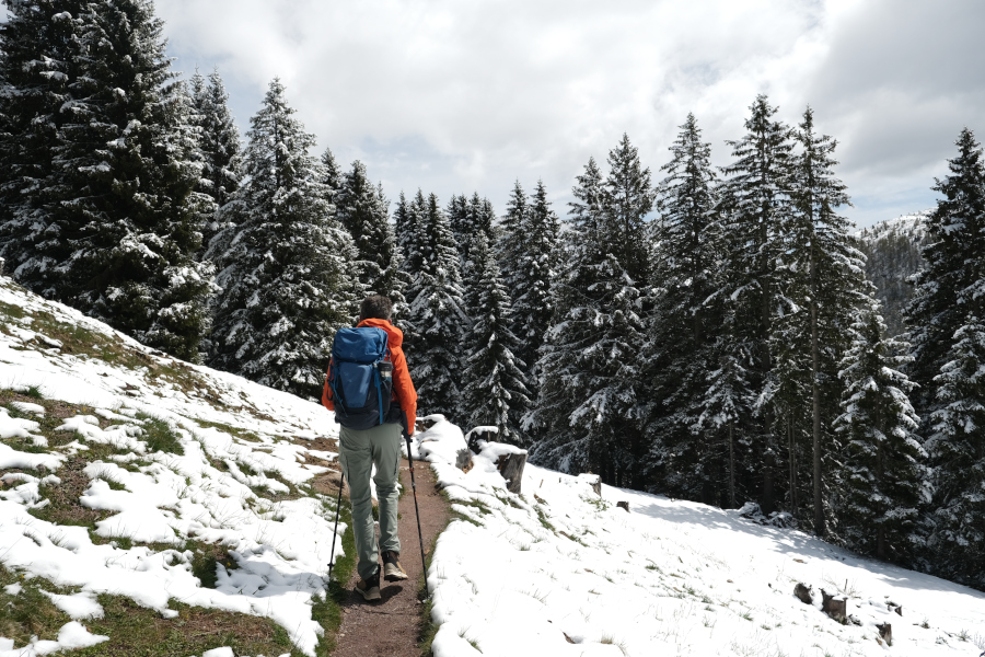 Wandelen Meran 2000