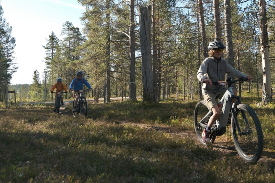 Zomer in Idre Fjäll: mountainbiken tussen rendieren
