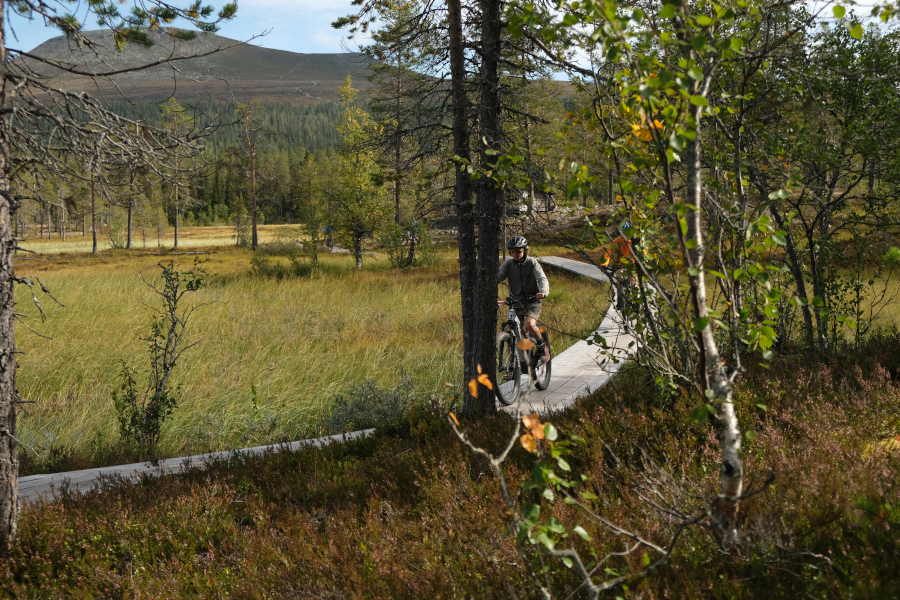 Fietsen in Zweden: Idre Fjäll
