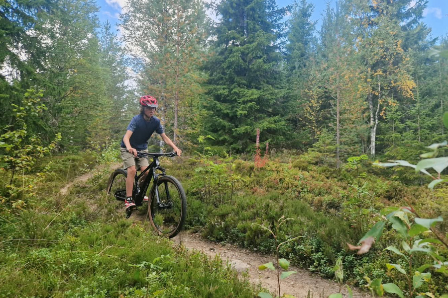 Door de bosssen in Zweden fietsen.